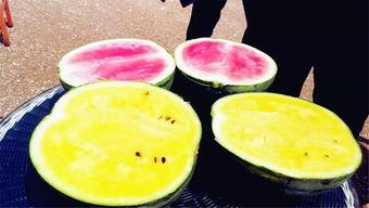 长垣吃瓜爆料在线观看,在线观看揭秘幕后真相