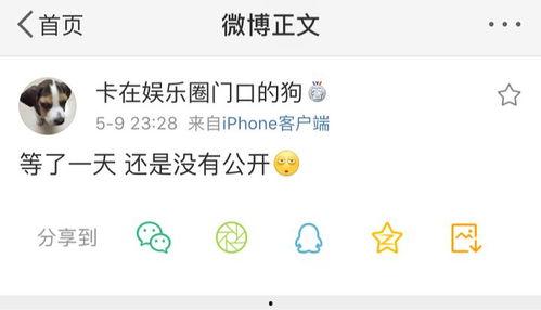 吃瓜等爆料小说免费观看,吃瓜小说免费观看，带你走进明星幕后生活