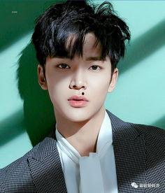 明星吃瓜八卦爆料吴磊是真的吗,吃瓜群众热议的真相揭晓